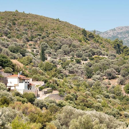 פיתגוריו Villa Vicky מראה חיצוני תמונה